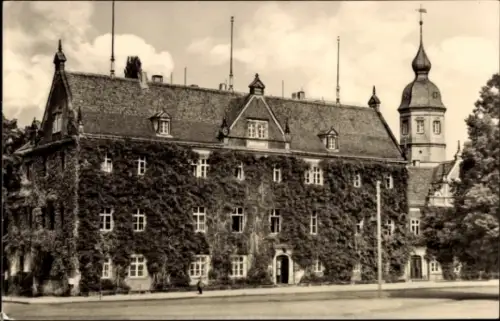 Ak Riesa an der Elbe Sachsen, Rathaus in Riesa, Elbe,  Fotografie, bewachsen mit Pflanzen