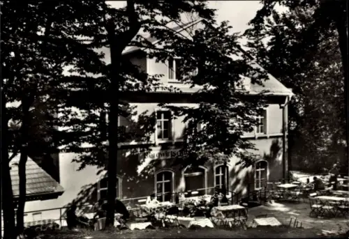 Ak Dresden Schönfeld Weißig Borsberg, Bergwirtschaft Borsberg, Terrasse mit Tischen, Bäume im Vor