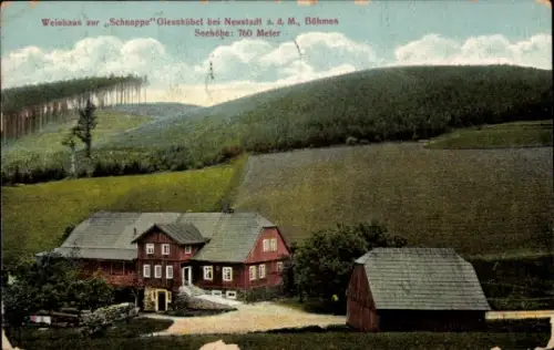 Ak Olešnice v Orlických horách Gießhübel im Adlergebirge Region Königgrätz, Weinhaus zur Schnappe