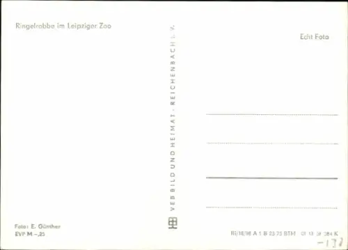Ak Leipzig, Ringelrobbe im Zoo