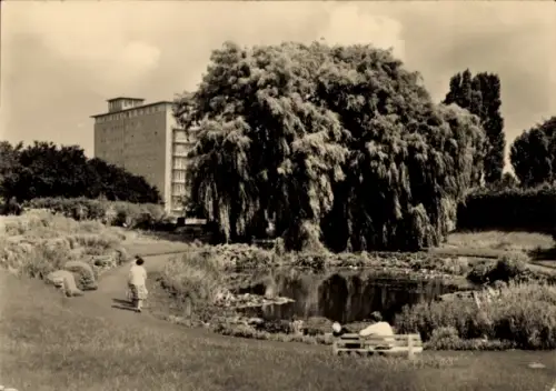 Ak Hansestadt Rostock, Botanischer Garten, Haus der Hochseefischer, Weidenbaum, Teich