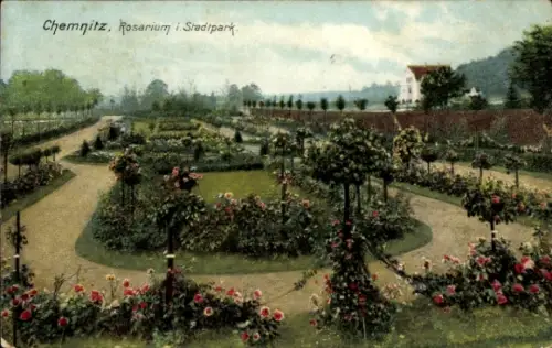 Ak Chemnitz in Sachsen, Rosarium im Stadtpark, Gartenansicht, Blumen und Pflanzen, Helle Farben
