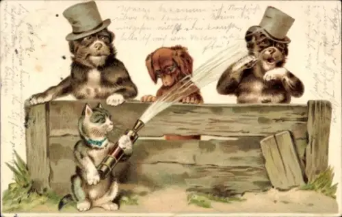 Litho Vermenschlichte Hunde, Katze bespritzt Hunde mit Wasser
