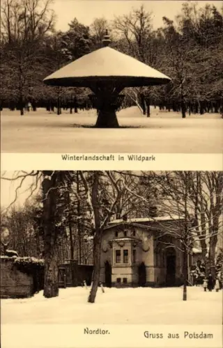 Ak Wildpark Potsdam, Winterlandschaft, Nordtor