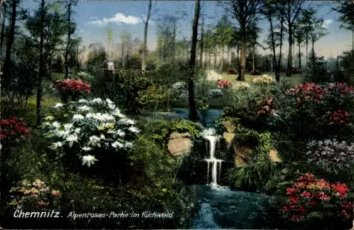 Ak Chemnitz in Sachsen,  Alpenrosen-Partie, Blumen, Wasserfälle, Wald