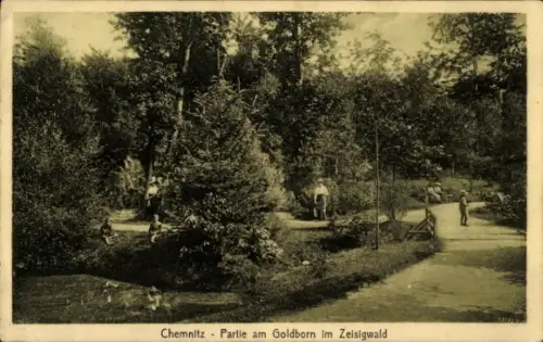 Ak Chemnitz in Sachsen, Goldborn, Zeisigwald