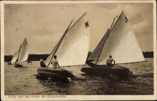 Ak Berlin Wilmersdorf Grunewald Schildhorn, Segelboote auf der Havel
