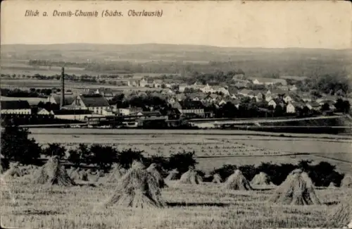 Ak Demitz Thumitz in Sachsen, Panorama