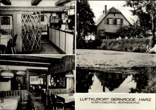 Ak Gernrode Quedlinburg im Harz, Ausflugsrestaurant Bückemühle, Innenansichten, Naturansicht