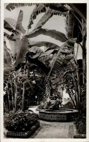 Ak Fes el Bali Fez Marokko, Tropische Pflanzen, kleiner Patio, Hotel Palais Jamai, Schwarz-Weiß-F