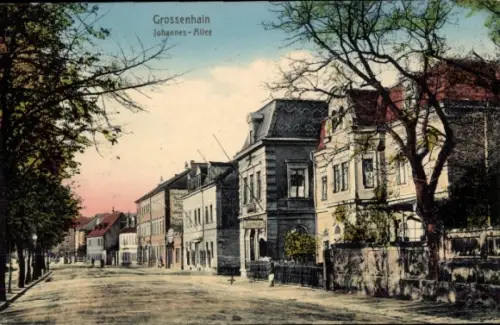 Ak Großenhain Sachsen, Johannes-Allee