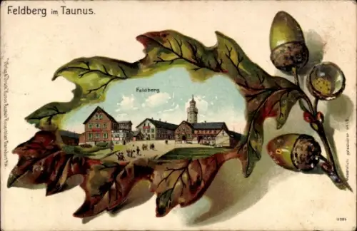 Eichenblatt Litho Niederreifenberg Schmitten im Taunus, Großer Feldberg