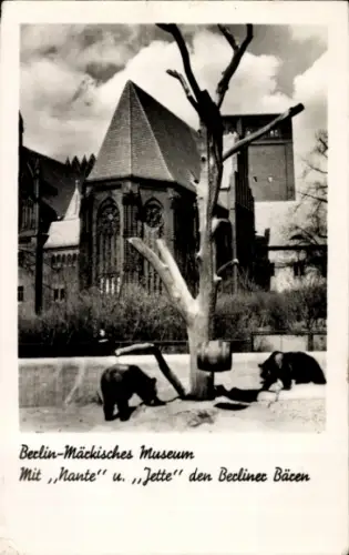 Ak Berlin Mitte, Märkisches Museum, mit Bären Nante und Jette
