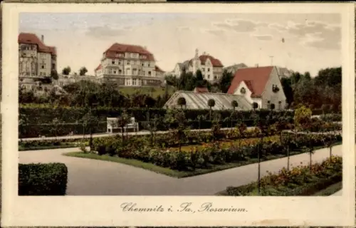 Ak Chemnitz in Sachsen, Rosarium, Garten mit Blumen,  Gebäude