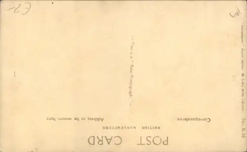 Ak Prince of Wales, Portrait