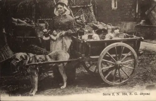 Ak Flämisches Milchmädchen, Hundekarren, Arbeitshund