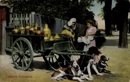 Ak Belgische Tracht, Milchmädchen, Hundekarren, Arbeitshund, Milchkrug