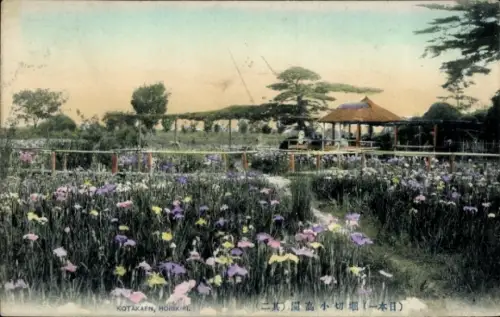 Ak Japan, Blumenfelder