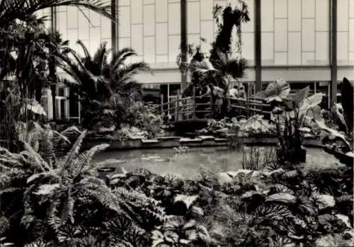 Ak Berlin Lichtenberg Friedrichsfelde, Tierpark Berlin, Tropenhalle im Alfred Brehm Haus