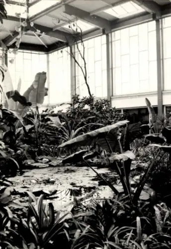 Ak Berlin Lichtenberg Friedrichsfelde, Tierpark, Alfred Brehm Haus, Tropenhalle