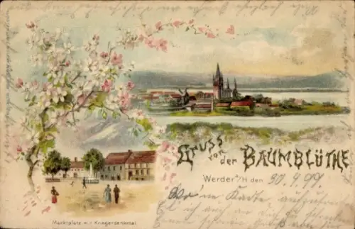 Litho Werder an der Havel, Gesamtansicht, Baumblüte