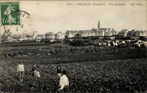 CPA Carantec Finistère, vue générale