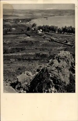 Ak Migdal Israel, Orange Groves