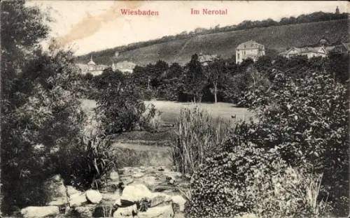 Ak Wiesbaden in Hessen,  Im Nerotal, Landschaft mit Bäumen und Wasserlauf