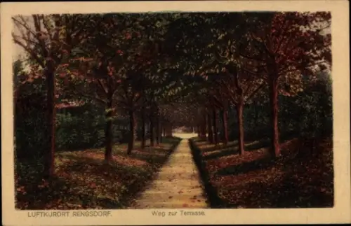 Ak Rengsdorf im Westerwald, Luftkurort  Weg zur Terrasse, Bäume, Weg