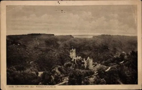 Ak Manderscheid in der Eifel, Burgruine, Waldlandschaft, nmotiv, Schwarz-Weiß