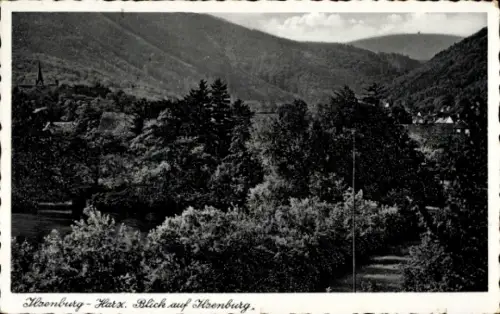 Ak Ilsenburg im Harz, Gesamtansicht
