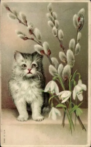 Ak Strasbourg Straßburg Elsass Bas Rhin, Eine weiße Katze sitzt vor einer Vase mit weißen und ...