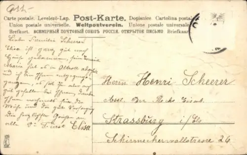 Ak Strasbourg Straßburg Elsass Bas Rhin, Eine weiße Katze sitzt vor einer Vase mit weißen und ...