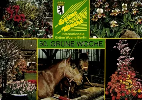 Ak Berlin Mitte, 50. Grüne Woche, Pferde, Blumen, Wappen