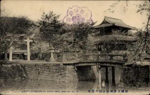 Ak Iwakuni Präfektur Yamaguchi Japan, Kirschblüten im Kikko Park