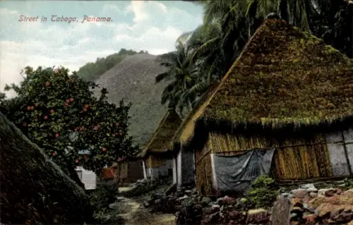 Ak Insel Taboga Panama, Straße in Taboga, Palmen, Strohhütten, Orangenbaum