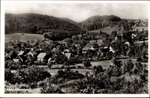 Ak Alme Brilon im Sauerland, Gesamtansicht