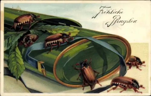 Litho Glückwunsch Pfingsten, Maikäfer