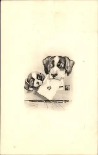 Künstler Ak Zwei Hunde mit Brief, Tierportrait