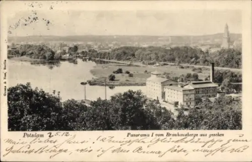 Ak Potsdam, Panorama I vom Brauhausberg aus gesehen