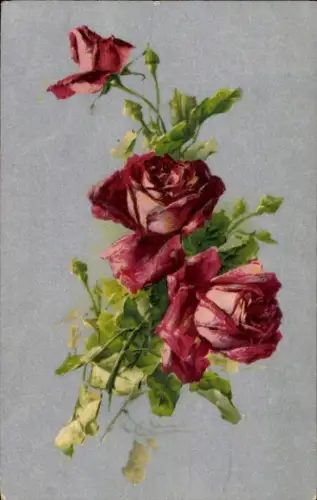 Künstler Ak Klein, Catharina, rote Rosen