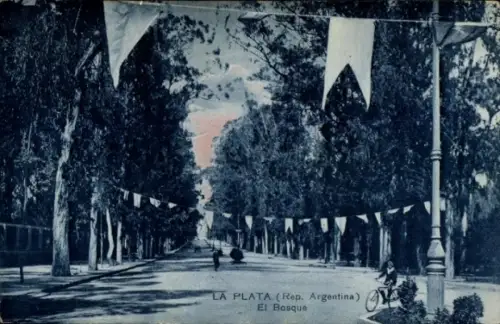 Ak La Plata Argentinien, Bäume, Straßenansicht, Wimpel, El Bosque