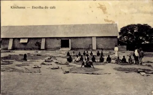 Ak Kinshasa DR Kongo Zaire, Escolha do cafe