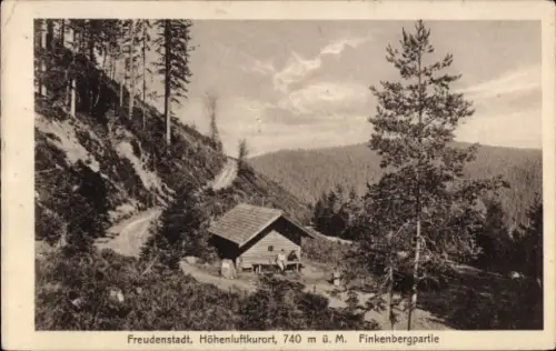 Ak Freudenstadt im Schwarzwald, Schwarzwaldlandschaft, Finkenbergpartie, Höhenluftkurort, Wald, H