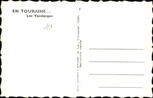 CPA Touraine, les Vendanges, Weinanbau