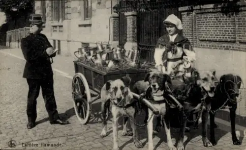 Ak Milchmädchen in belgischer Tracht, Hundekarren, Polizist