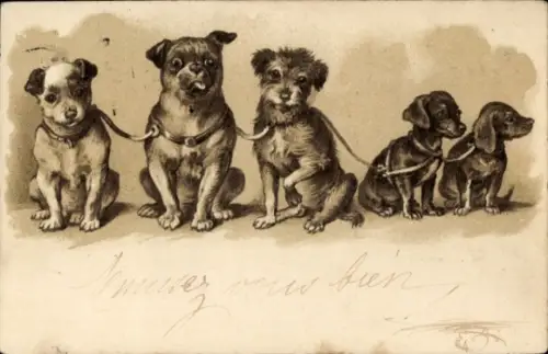 Präge Litho Fünf Hunde, Dackel, Welpen