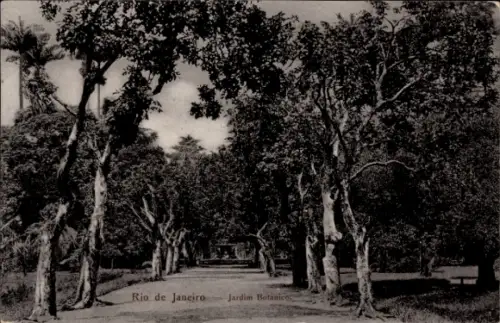 Ak Rio de Janeiro Brasilien, Jardim Botanico, Bäume, Weg, 1912