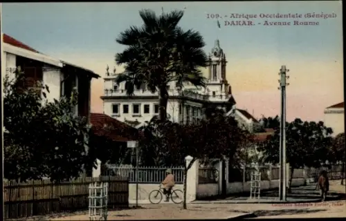 Ak Dakar Senegal,  aus  Avenue Roume, Palmen, Gebäude, Fahrradfahrer