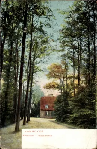 Ak Eilenriede Hannover in Niedersachsen, Waldweg, Bäume, Haus,  Eilenriede Bischofshole